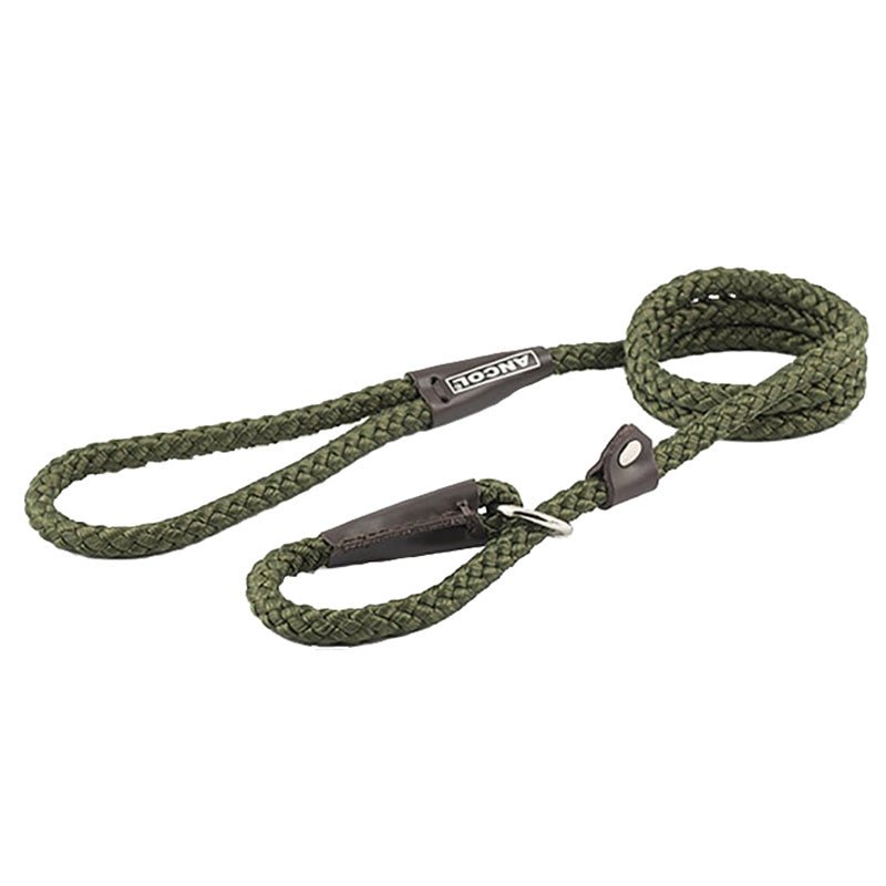 Leads, Collars & Harnesses