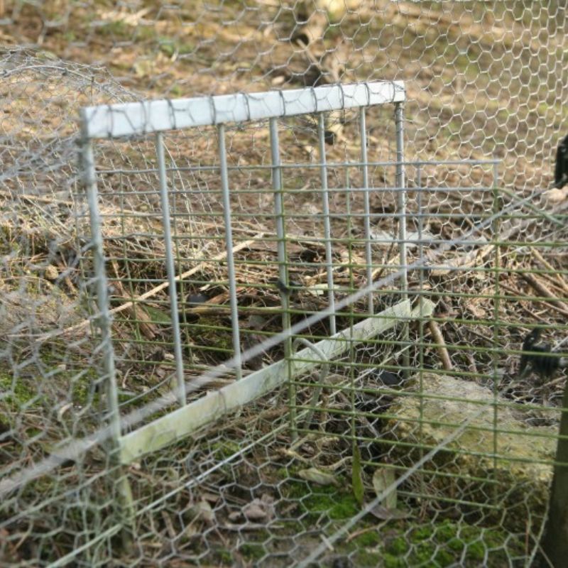 Fox Grid Pop Hole Use