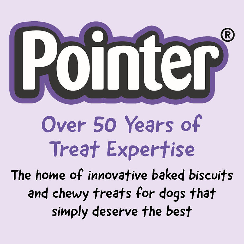 Pointer Charcoal Bones Dog Treats - 10kg Icon