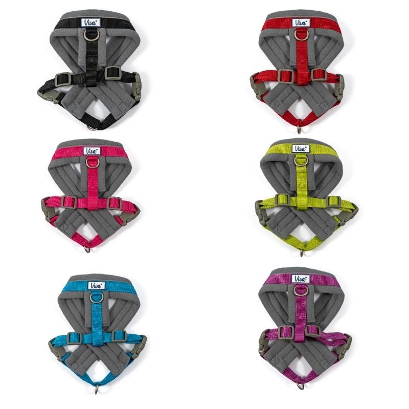 Viva Padded Harness