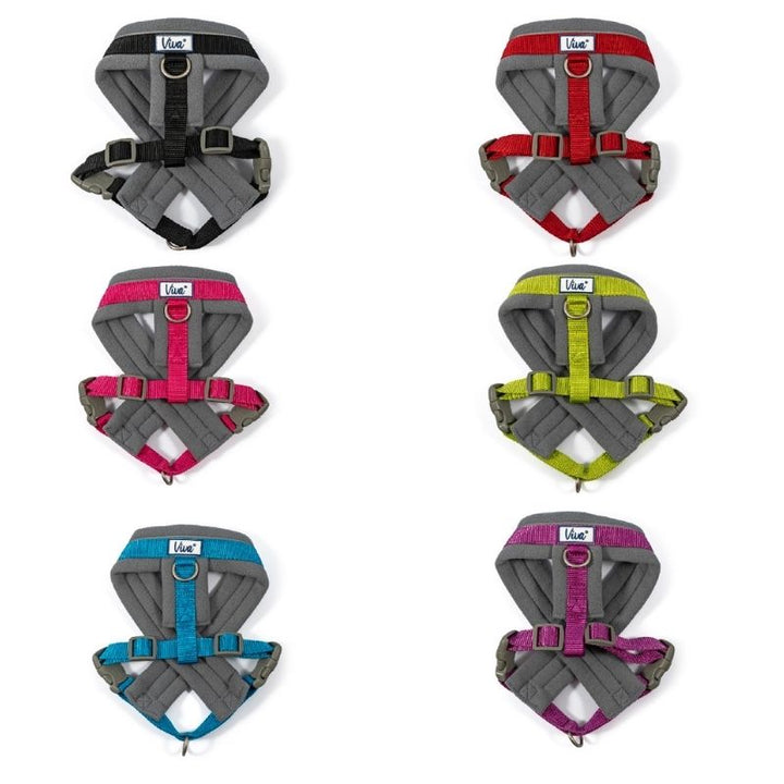 Viva Padded Harness