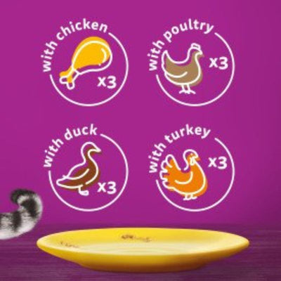 Whiskas 1+ Poultry Feasts in Gravy Info