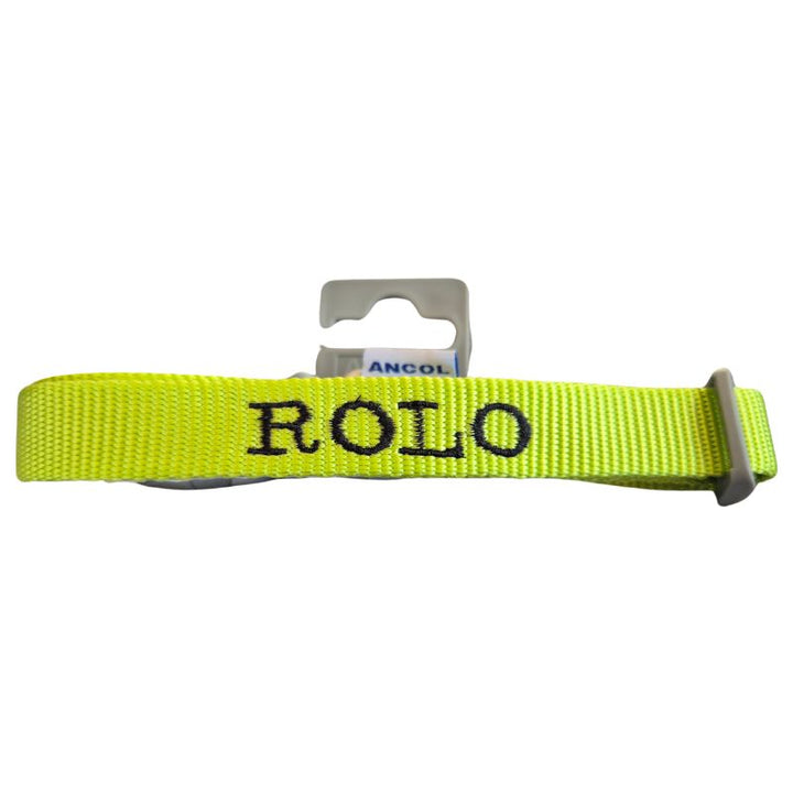 Personalised Dog Collar