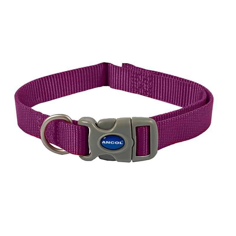 Viva Adjustable Collar in Purple