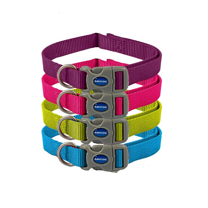 Personalised Viva Adjustable Dog Collar