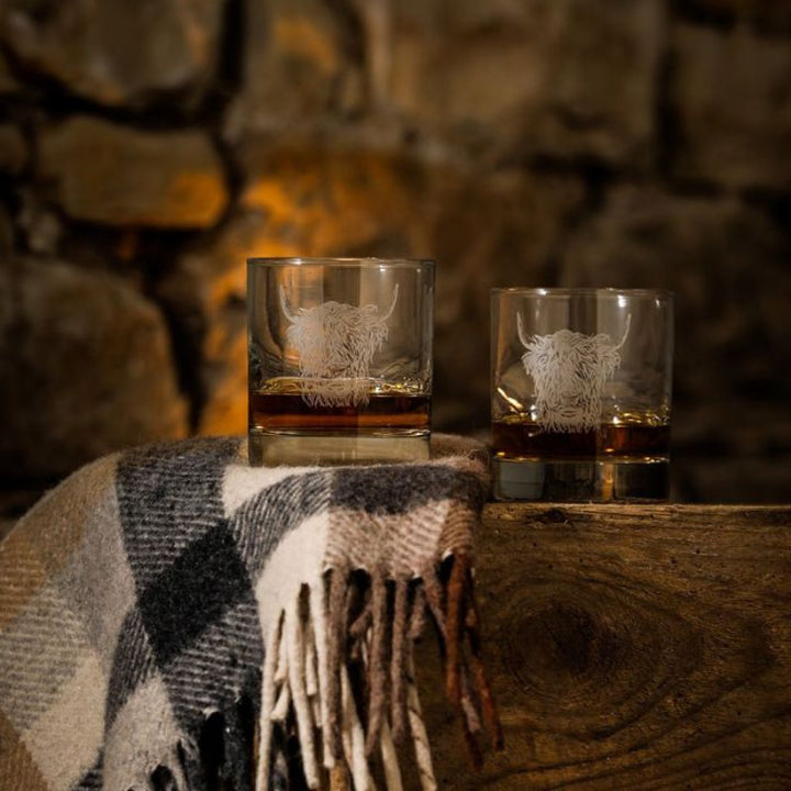 Highland Cow Pair of Tumblers Lifestyle