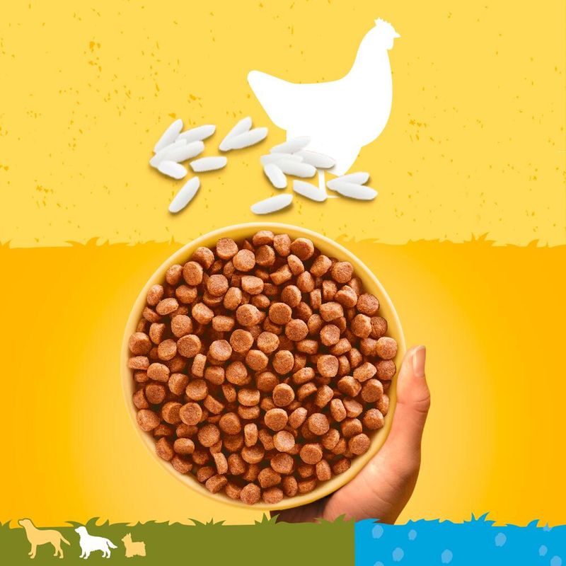 Pedigree Complete Puppy Junior Chicken & Rice 12kg Product