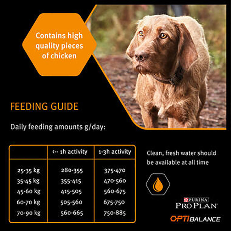 Purina Pro Plan Large Robust Adult Dog Feeding Guide
