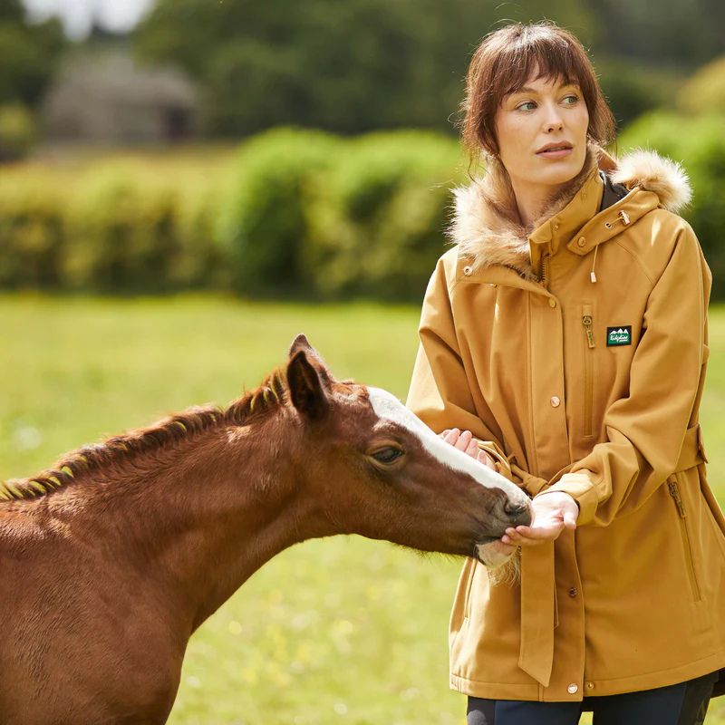 Ridgeline Monsoon Nordic Jacket In Ochre - Lifestyle