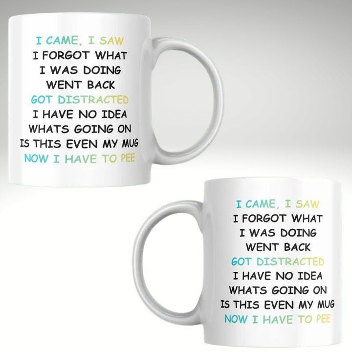 I came i saw funny mug