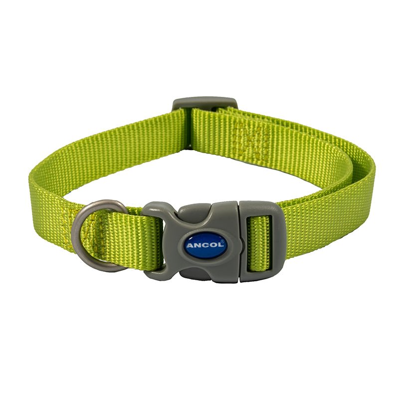 Viva Adjustable Collar in Lime