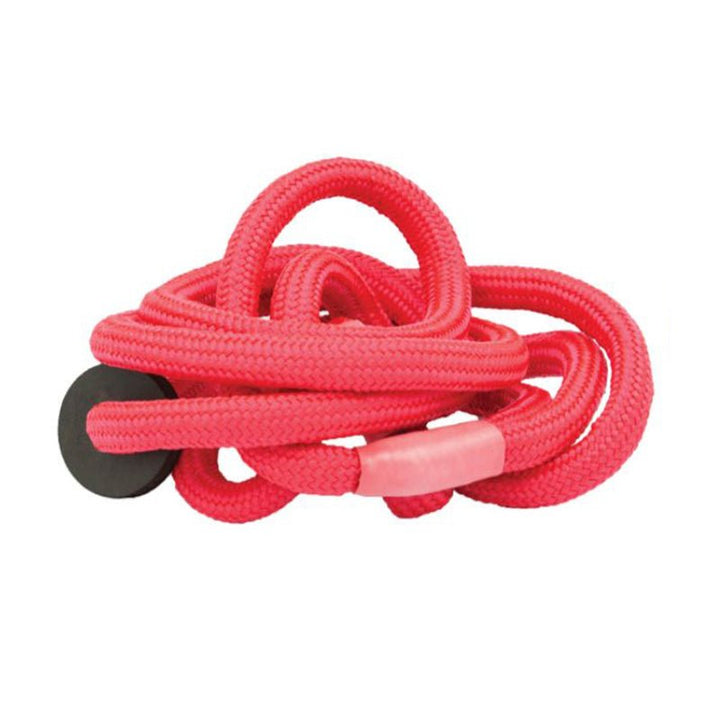 Super Six Dog Slip Lead 6mm - Cheshire Game Bisley